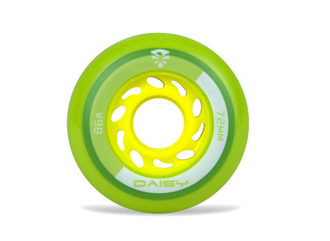 Daisy Wheels (Pack of 4)